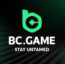 Experience the Excitement of Gaming with the BC.Game DE Mobile App