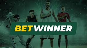 BetWinner Sportsbook Review A Comprehensive Guide for Betting Enthusiasts